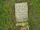 image of grave number 190311